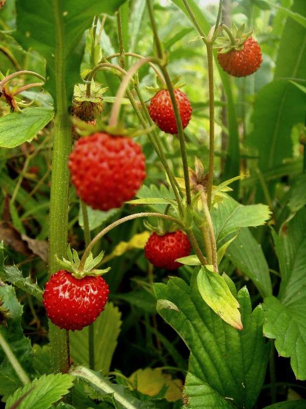 ��������� ����� ���� ������ �� PhotoGeek.ru #������ ��� �������