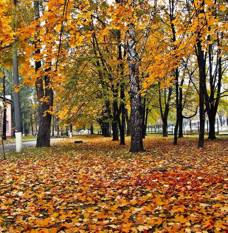 ����� ����� ���� ������ �� PhotoGeek.ru #������ ��� �������