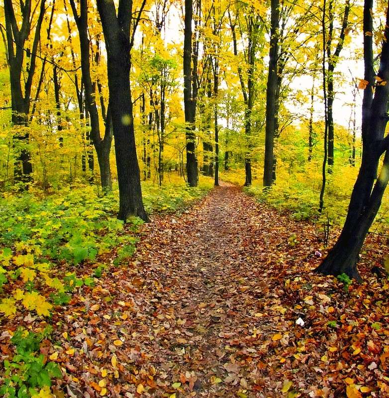 ����� ����� ���� ������ �� PhotoGeek.ru #������ ��� �������