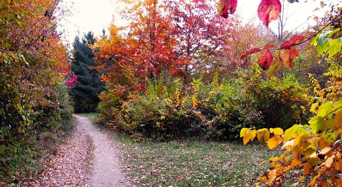 �������� ����� ����� ���� ������ �� PhotoGeek.ru #������ ��� �������