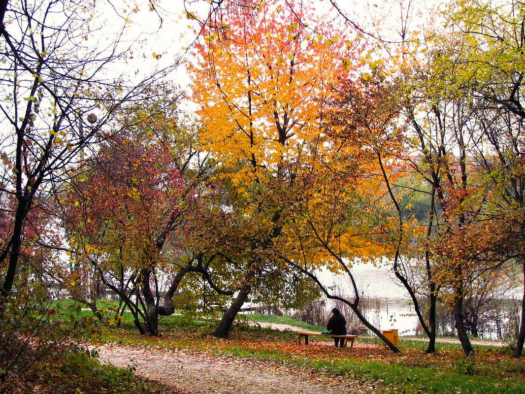 ����� ���� ����� ���� ������ �� PhotoGeek.ru #������ ��� �������