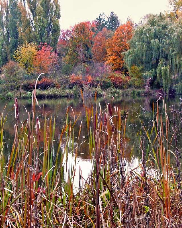 ������� ���� ����� ���� ������ �� PhotoGeek.ru #������ ��� �������