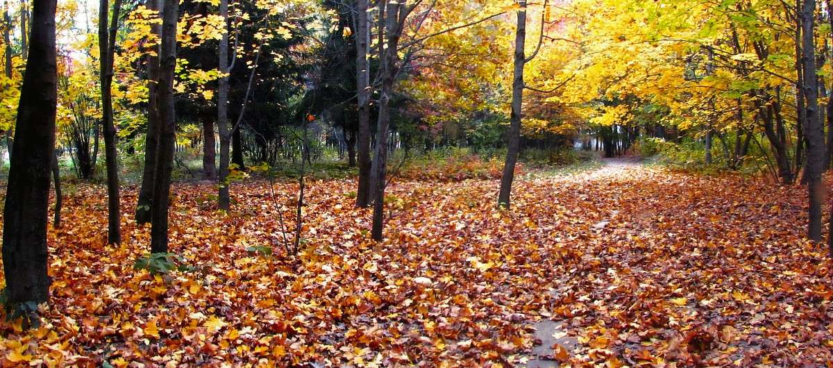 ������� ������ ����� ���� ������ �� PhotoGeek.ru #������ ��� �������