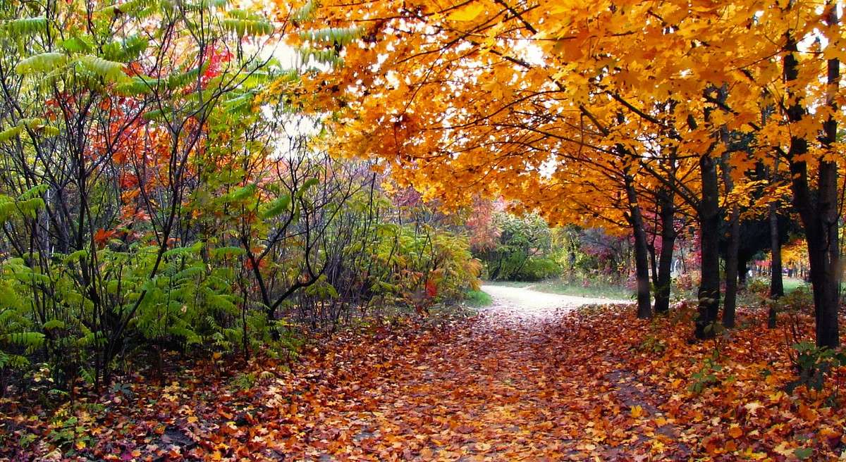 ������ ����� ���� ������ �� PhotoGeek.ru #������ ��� �������