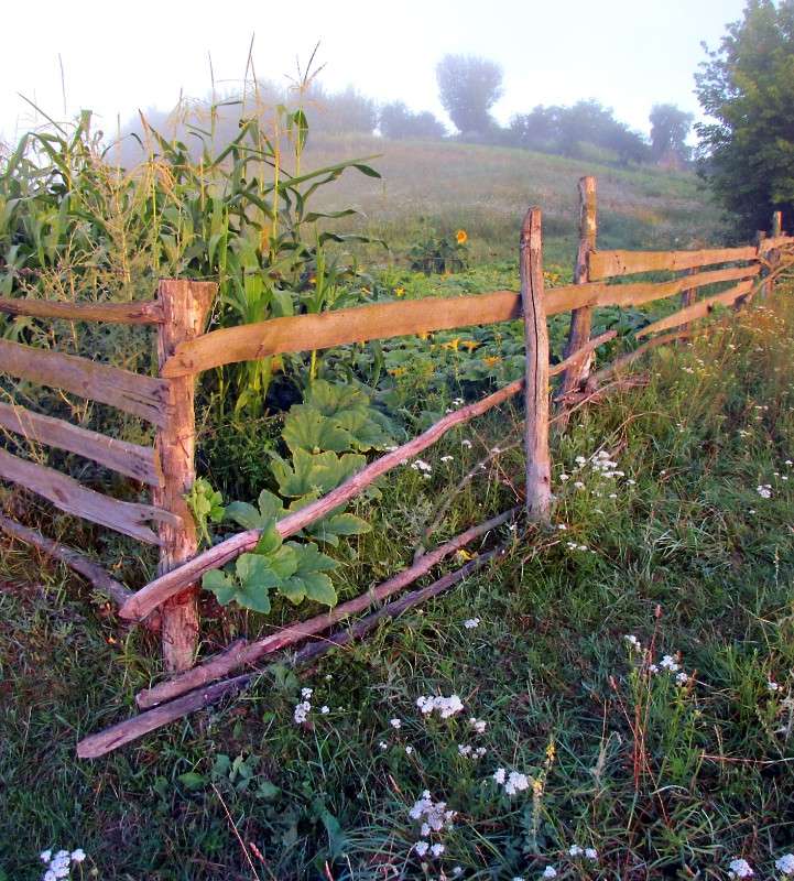 � ������� ����� ���� ������ �� PhotoGeek.ru #������ ��� �������