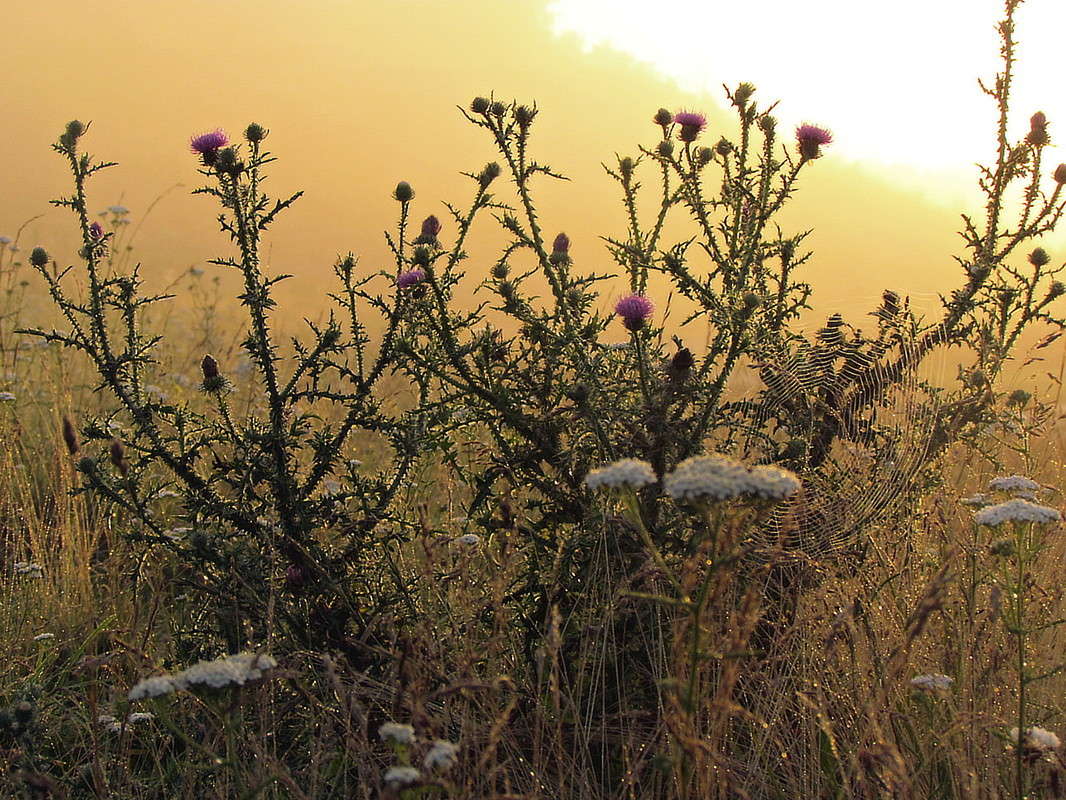 ���� ����� ���� ������ �� PhotoGeek.ru #������ ��� �������