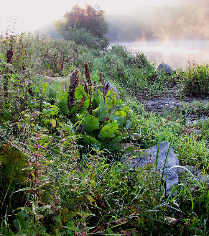 ����.����. ����� ���� ������ �� PhotoGeek.ru #������ ��� �������