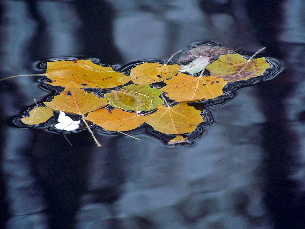 ������� ������ ����� ���� ������ �� PhotoGeek.ru #������ ��� �������