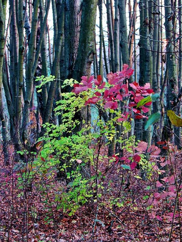 ����� ����... ����� ���� ������ �� PhotoGeek.ru #������ ��� �������