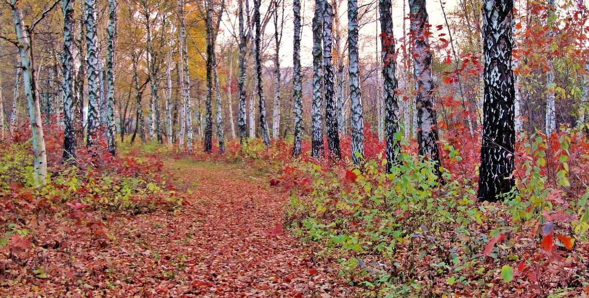 ������� ������� ����� ���� ������ �� PhotoGeek.ru #������ ��� �������