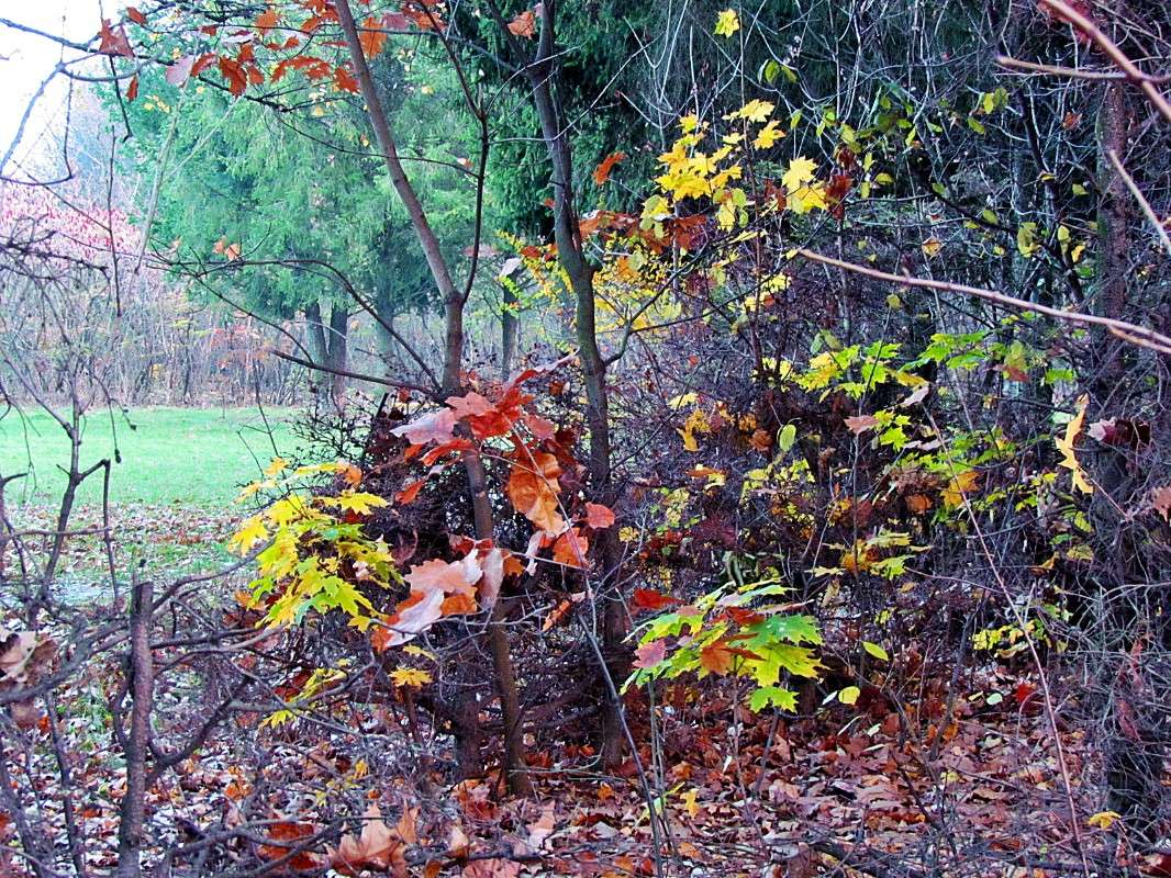 ����� ����� ����� ���� ������ �� PhotoGeek.ru #�������� ����������