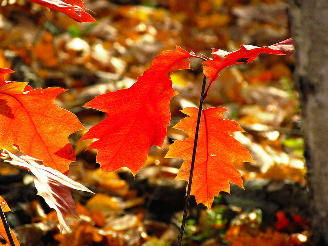 ������ ����� ����� ���� ������ �� PhotoGeek.ru #�������� ���������� #�����