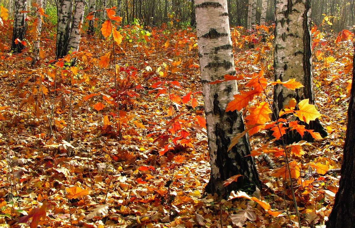 ... ����� ���� ������ �� PhotoGeek.ru #�������� ����������