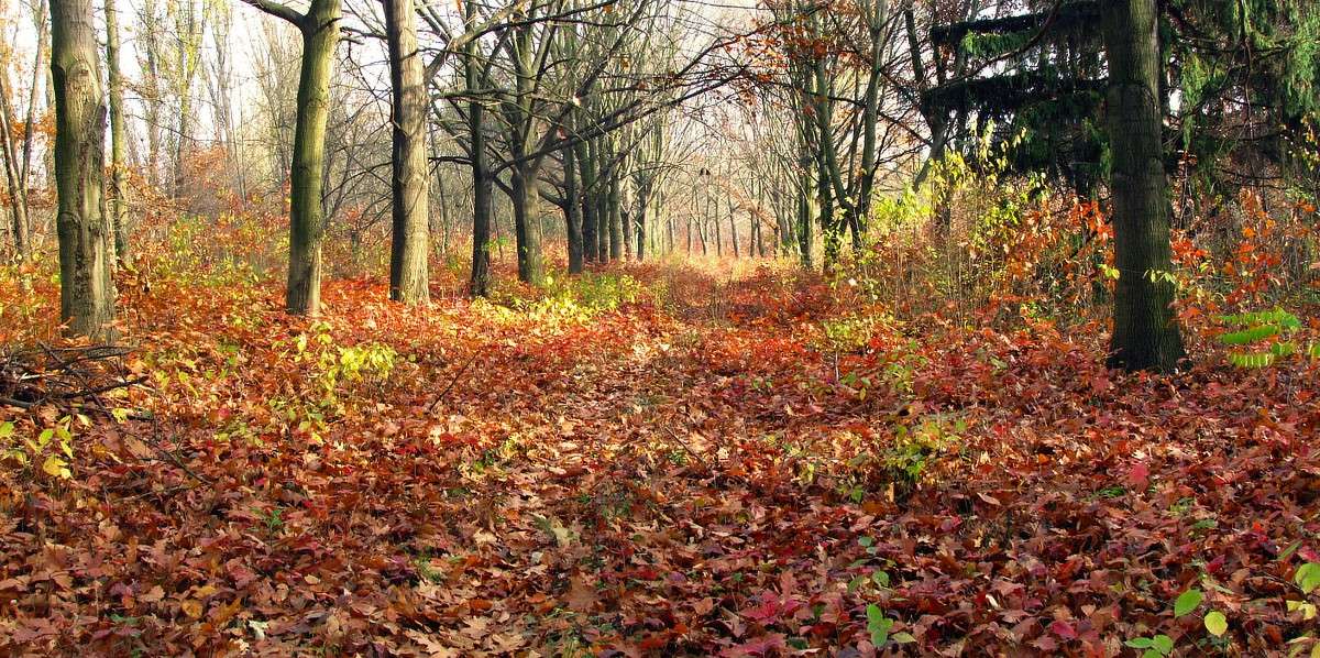 ������� ������� ����� ���� ������ �� PhotoGeek.ru #�������� ����������