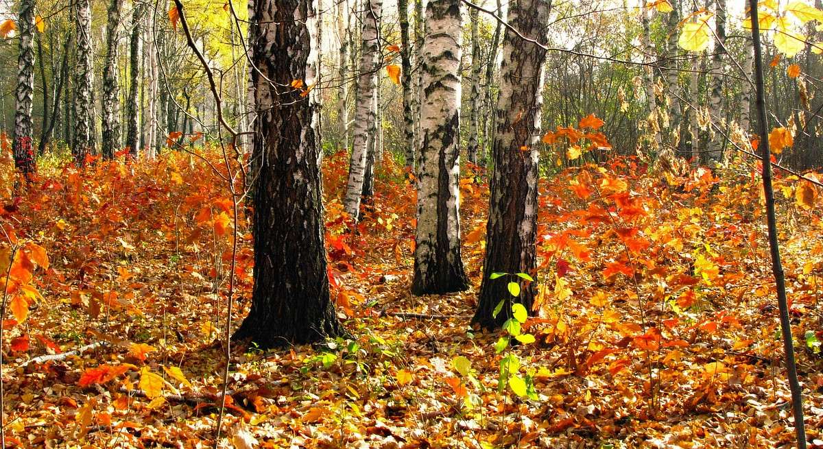 ������ ����� ���� ������ �� PhotoGeek.ru #�������� ����������