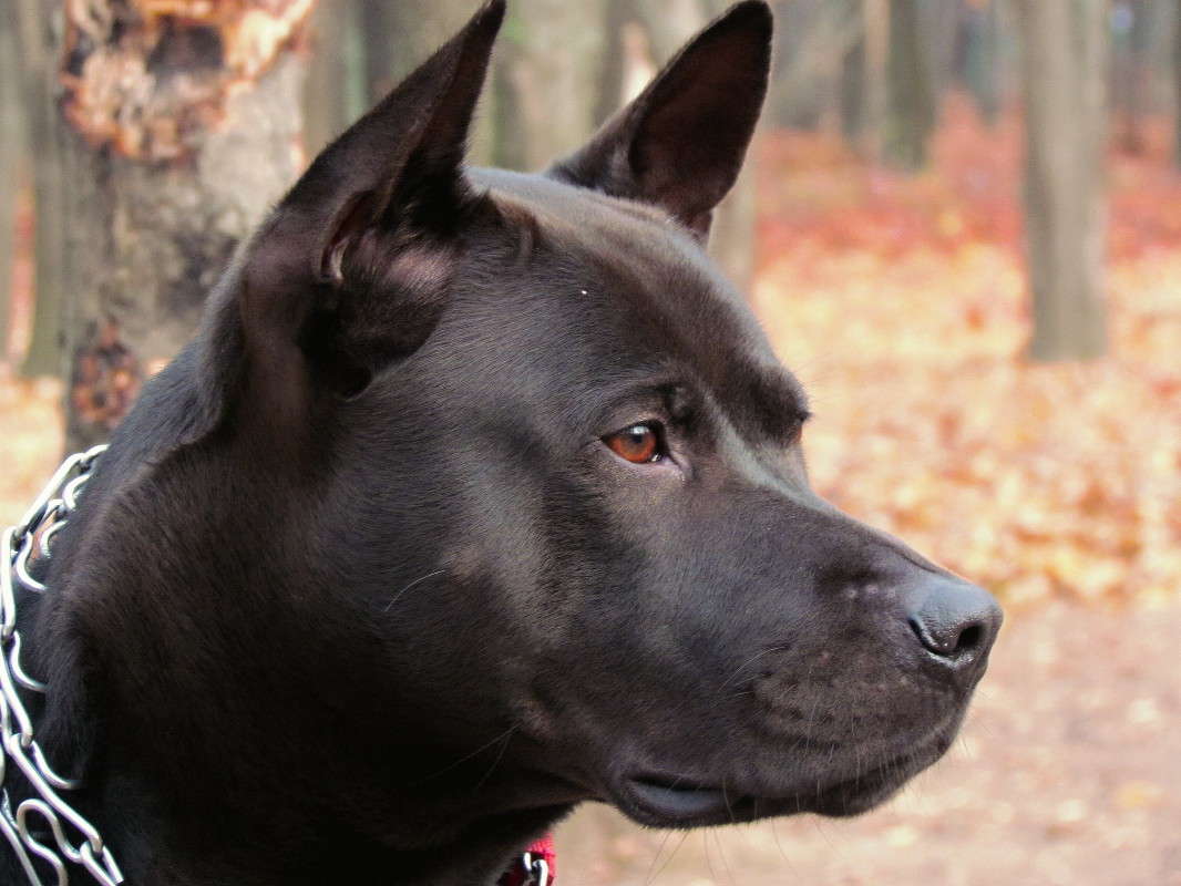 ���� ����� ���� ������ �� PhotoGeek.ru #�������� ���