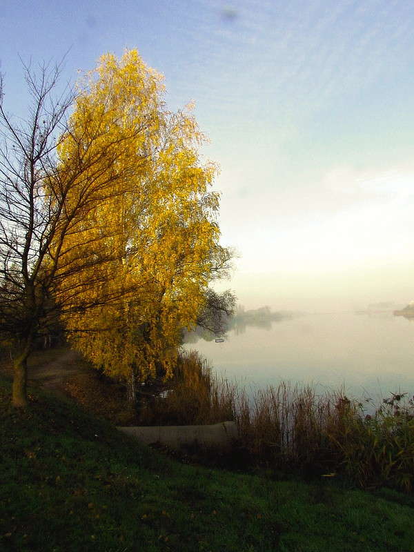 ���� � ������� ����� ���� ������ �� PhotoGeek.ru #�������� ����������