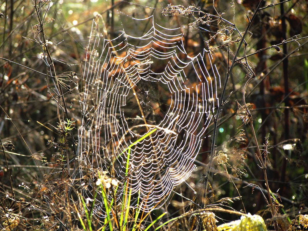 ������� ����� ���� ������ �� PhotoGeek.ru #������ ��� �������