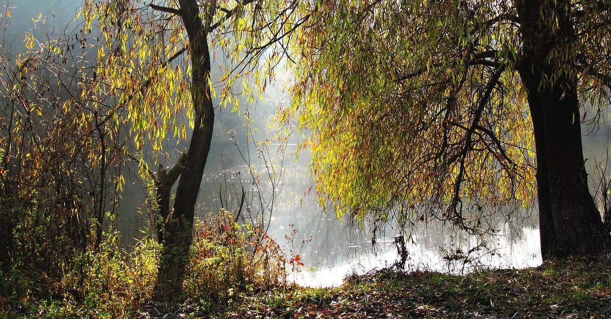 ������� ����� ���� ������ �� PhotoGeek.ru #������ ��� �������