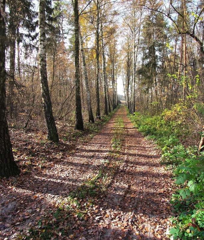 ������ � ������ ����� ���� ������ �� PhotoGeek.ru #������ ��� �������