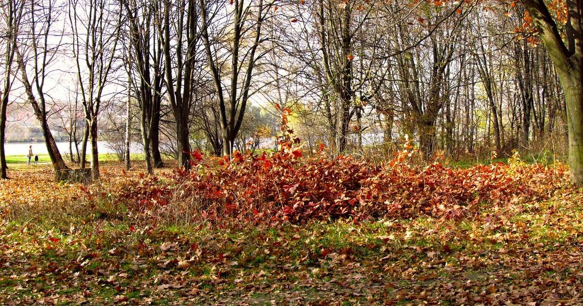 ������ ����� ����� ���� ������ �� PhotoGeek.ru #������ ��� �������