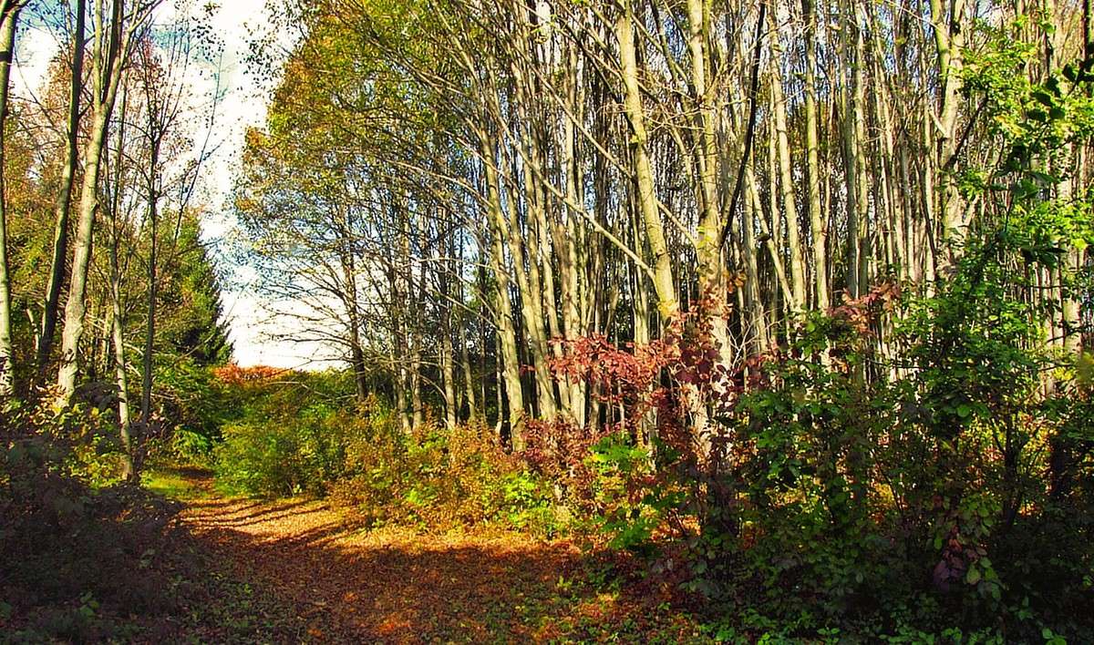 ������ ����� ���� ������ �� PhotoGeek.ru #������ ��� �������