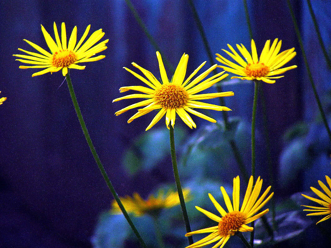 ������� ����� ���� ������ �� PhotoGeek.ru #����� #�����