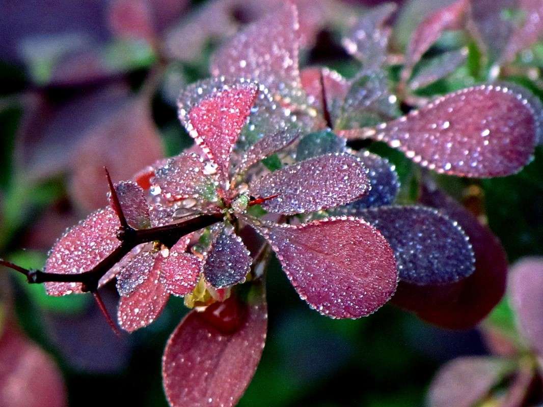 �������� ���� ����� ���� ������ �� PhotoGeek.ru #�����