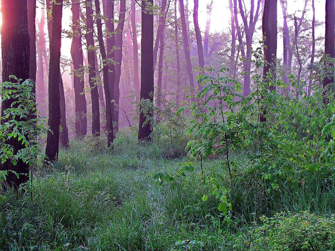 ���� �������� ����� ���� ������ �� PhotoGeek.ru #������ ��� ������� #������