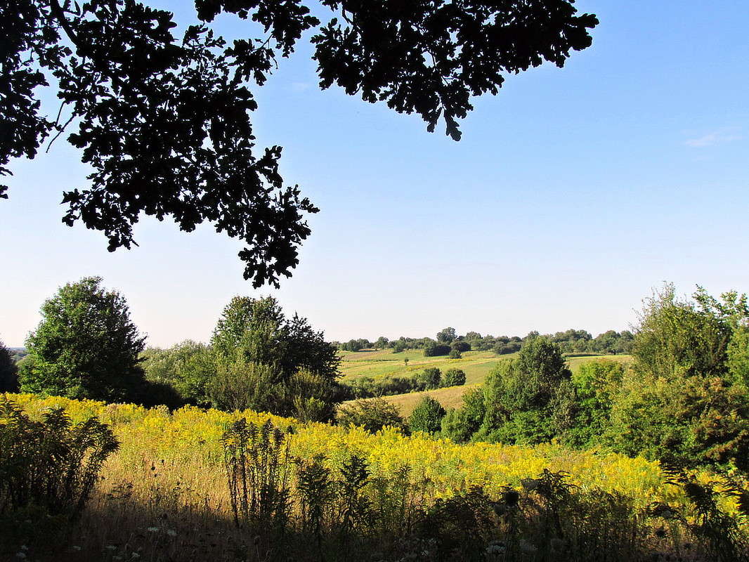 ���� ����� ���� ������ �� PhotoGeek.ru #������ ��� �������