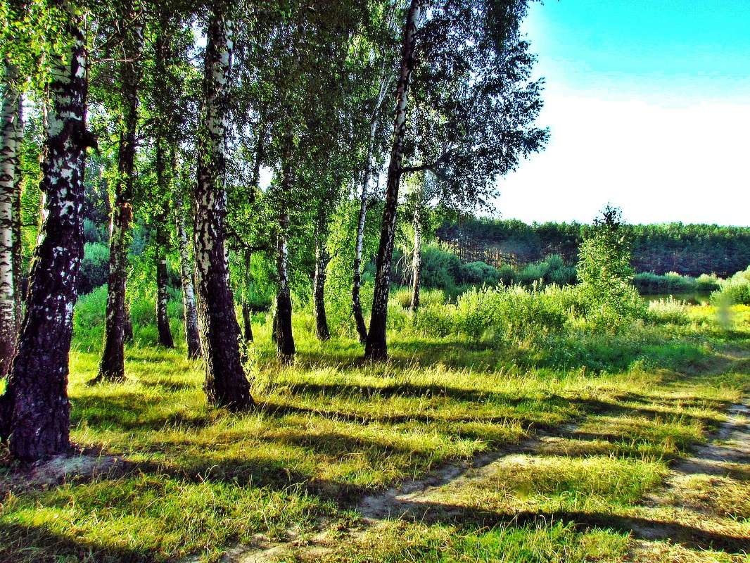 ������ ����� ���� ������ �� PhotoGeek.ru #������ ��� �������