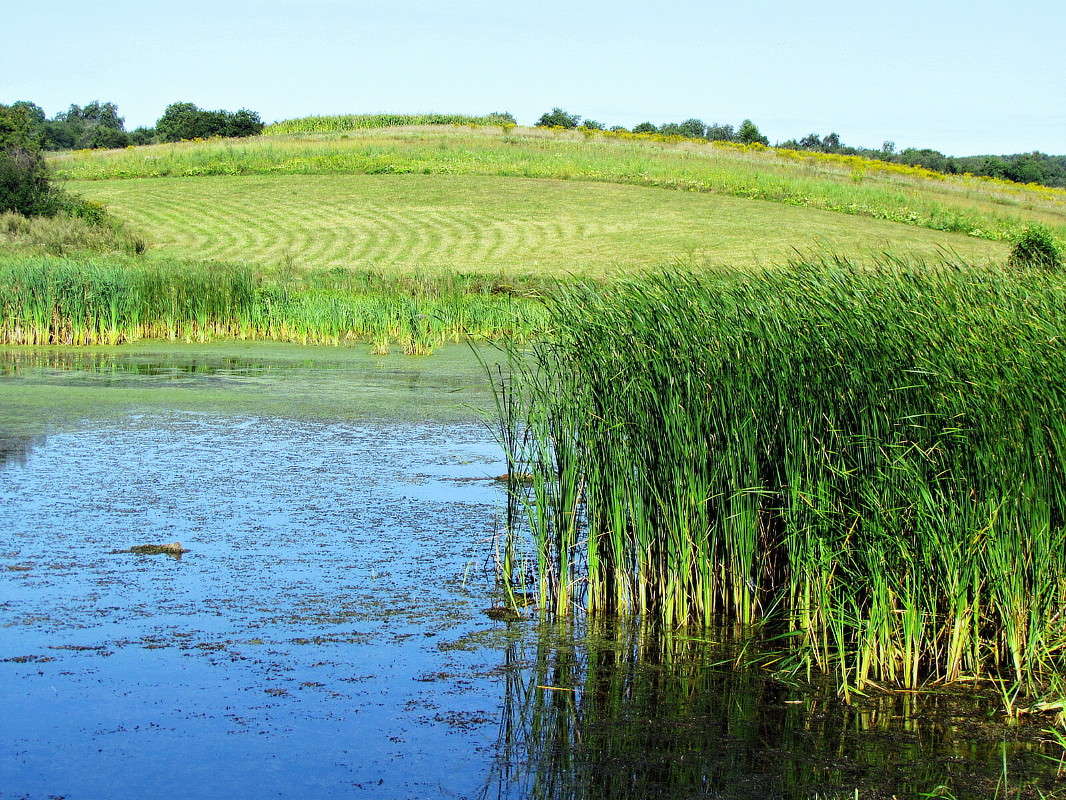 �� ����� ����� ���� ������ �� PhotoGeek.ru #������ ��� �������