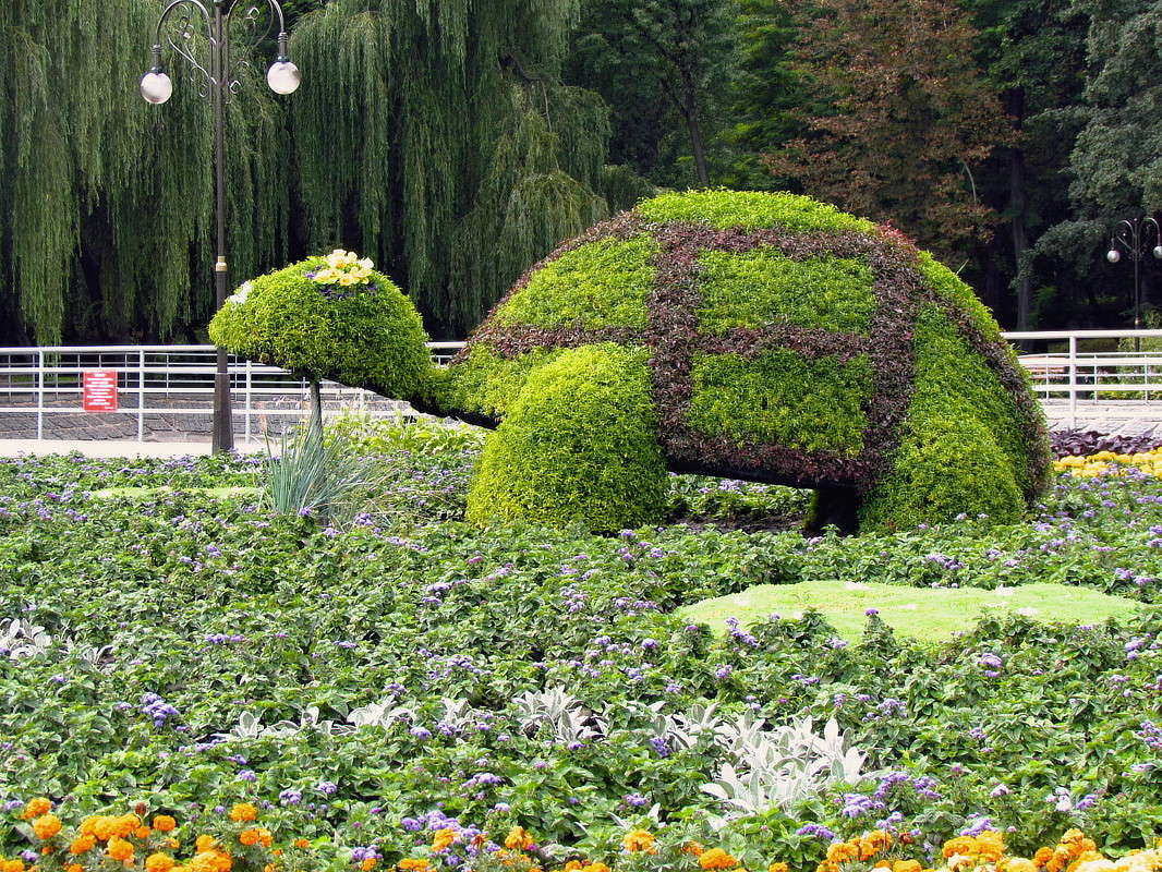 ����������� ������ ����� ���� ������ �� PhotoGeek.ru #�����