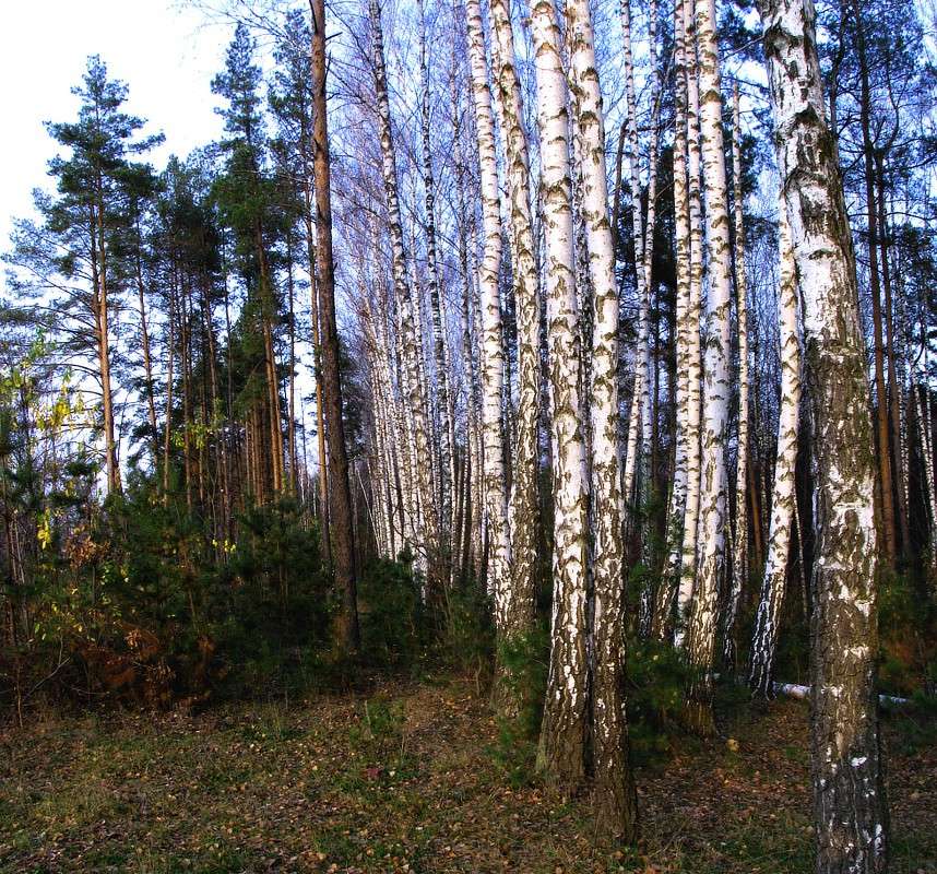 ������ ����� ���� ������ �� PhotoGeek.ru #������ ��� �������