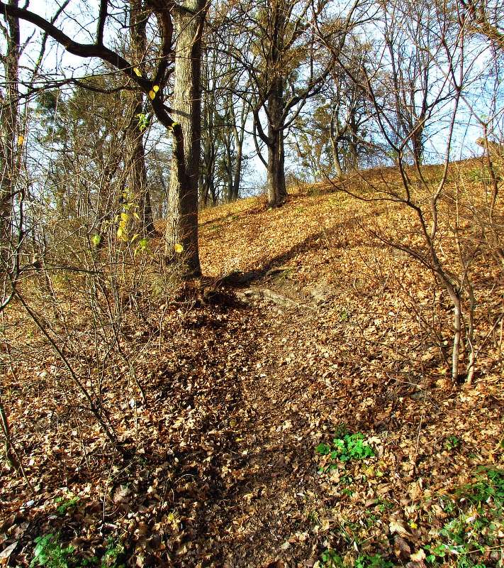 ������� ����� ���� ������ �� PhotoGeek.ru #������ ��� �������