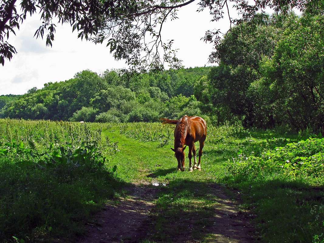 ������ ���� ����� ���� ������ �� PhotoGeek.ru #�������� ���