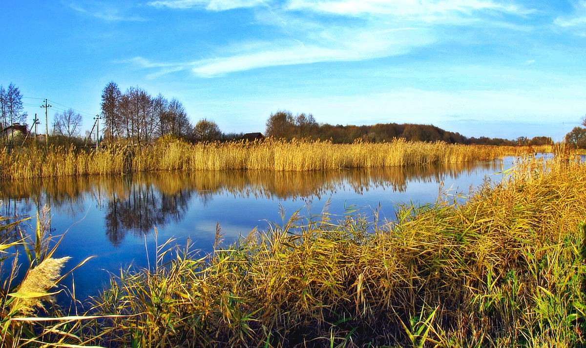 ������ ����� ����� ���� ������ �� PhotoGeek.ru #������ ��� ������� #�����