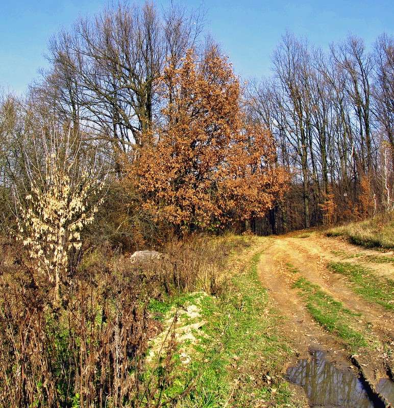 ������ ����� ���� ������ �� PhotoGeek.ru #������ ��� �������