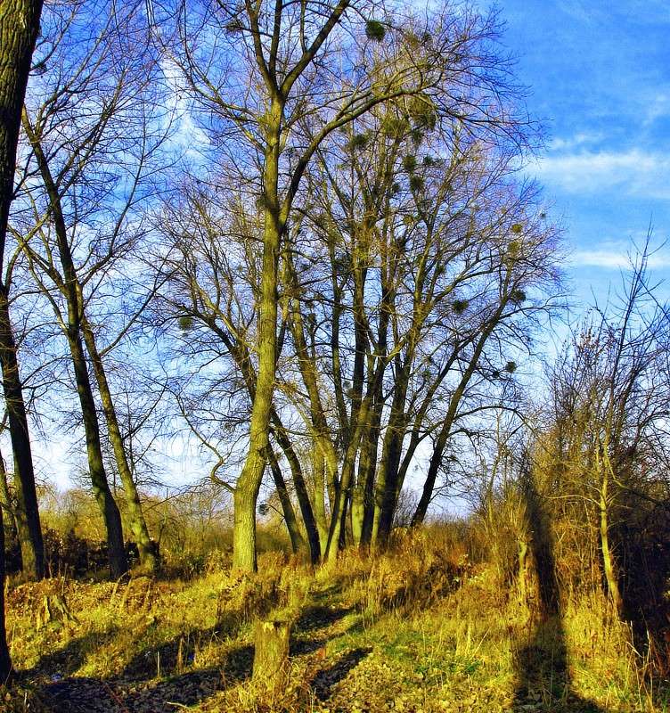 ������ ����� ���� ������ �� PhotoGeek.ru #������ ��� �������