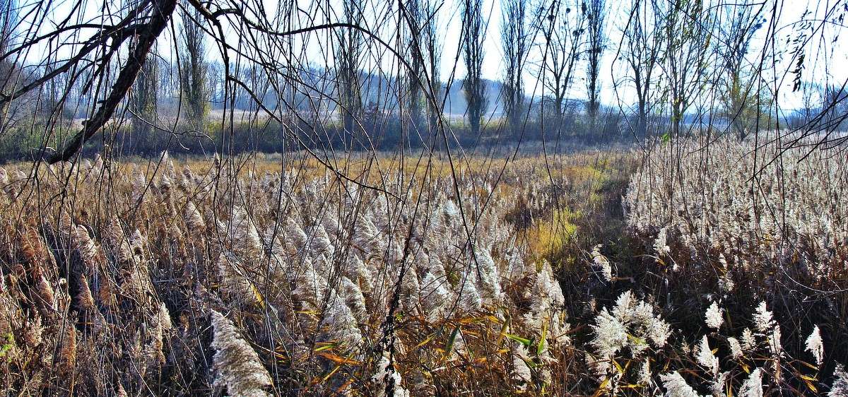 ����� ����� ���� ������ �� PhotoGeek.ru #������ ��� �������