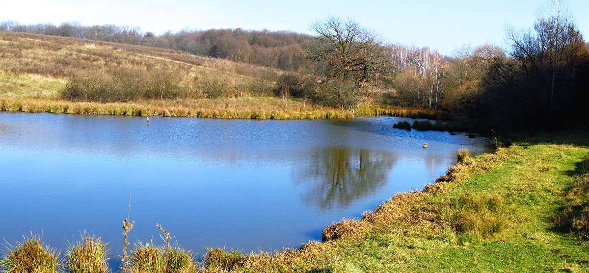 ����� ����� ���� ������ �� PhotoGeek.ru #������ ��� �������