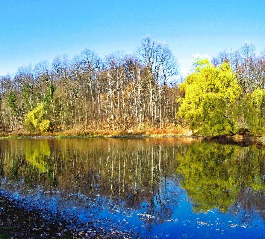 � ����� ����� ���� ������ �� PhotoGeek.ru #������ ��� �������