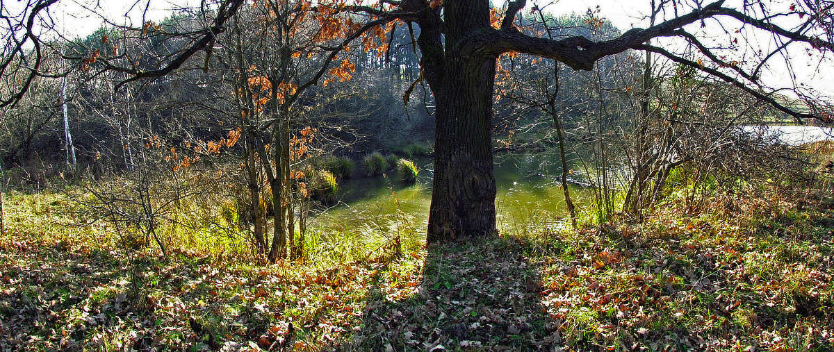 ����� ����� ���� ������ �� PhotoGeek.ru #������ ��� �������