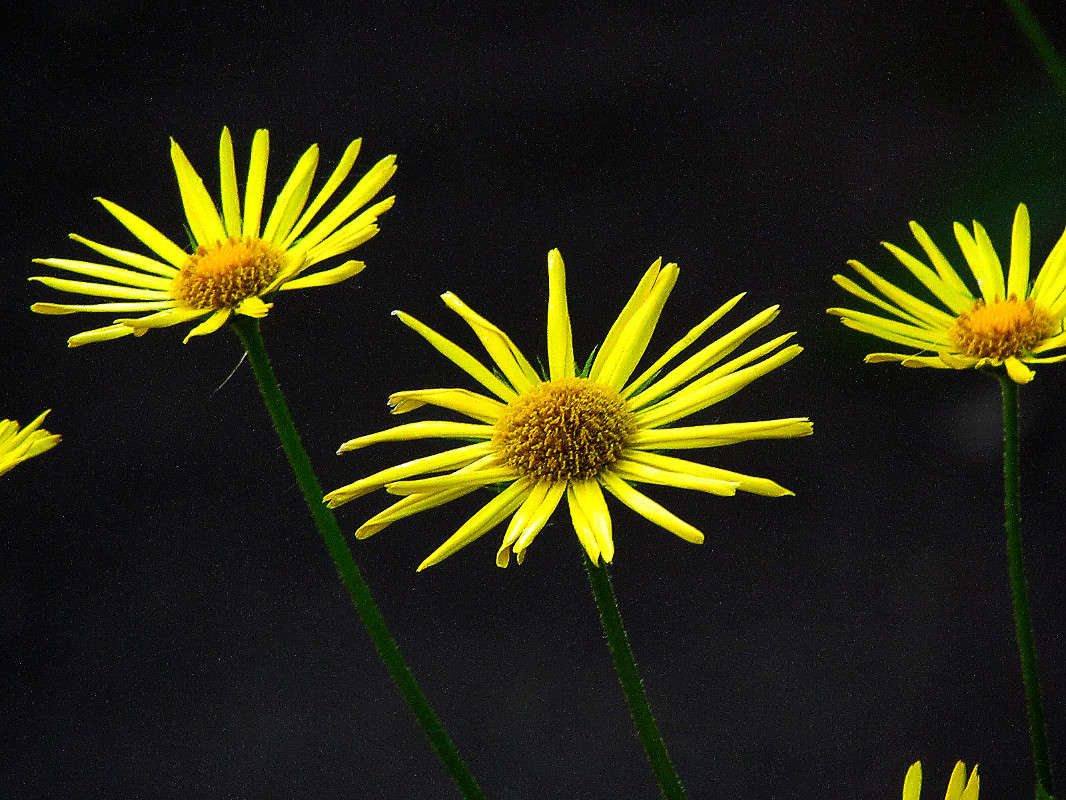 ������� ����� ���� ������ �� PhotoGeek.ru #������ ��� �������