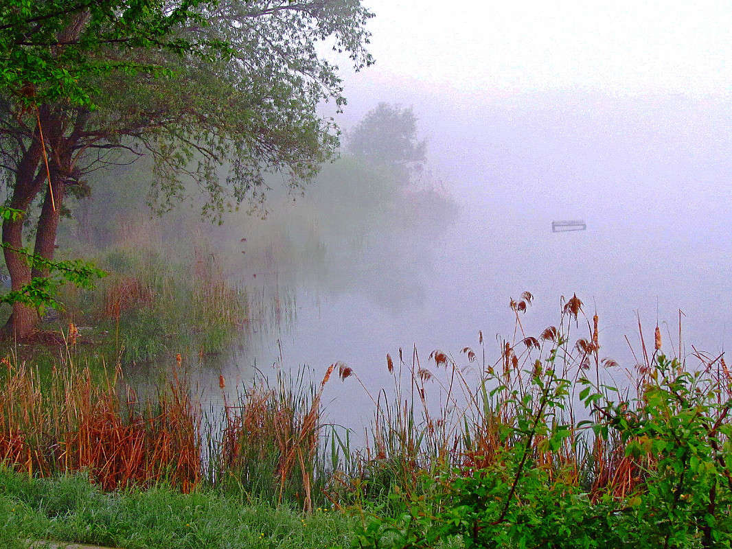 ������� ����� ���� ������ �� PhotoGeek.ru #������ ��� ������� #����