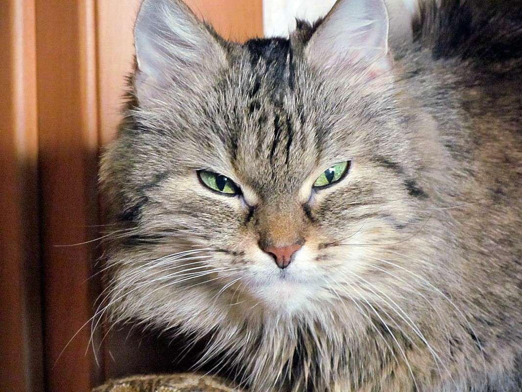 ����� ����� ���� ������ �� PhotoGeek.ru #�������� ���