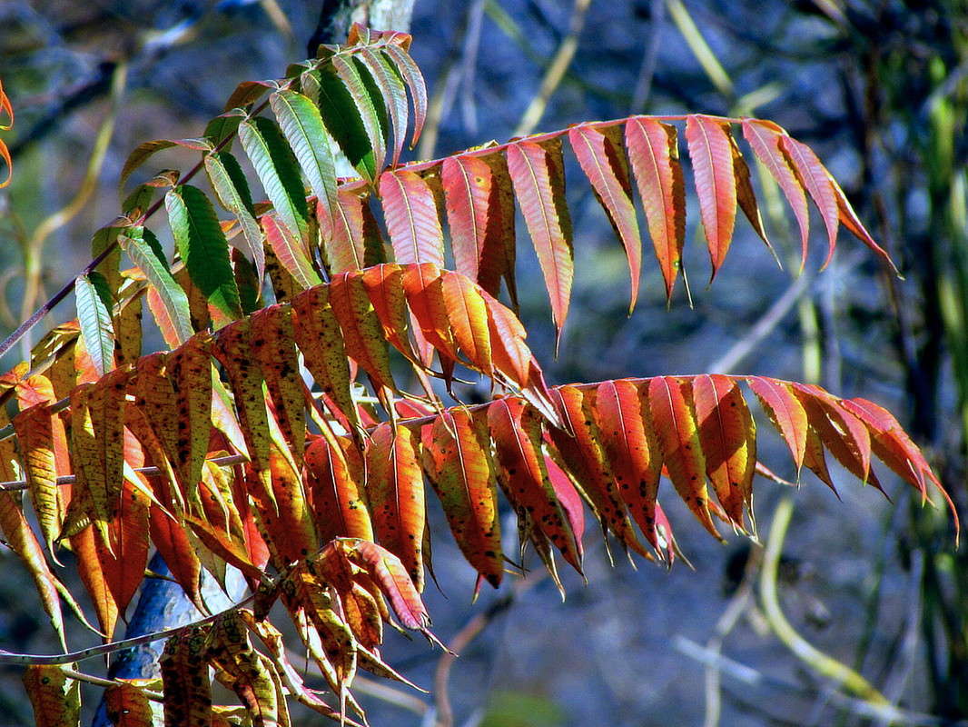 ��� ����� ���� ������ �� PhotoGeek.ru #������ ��� �������