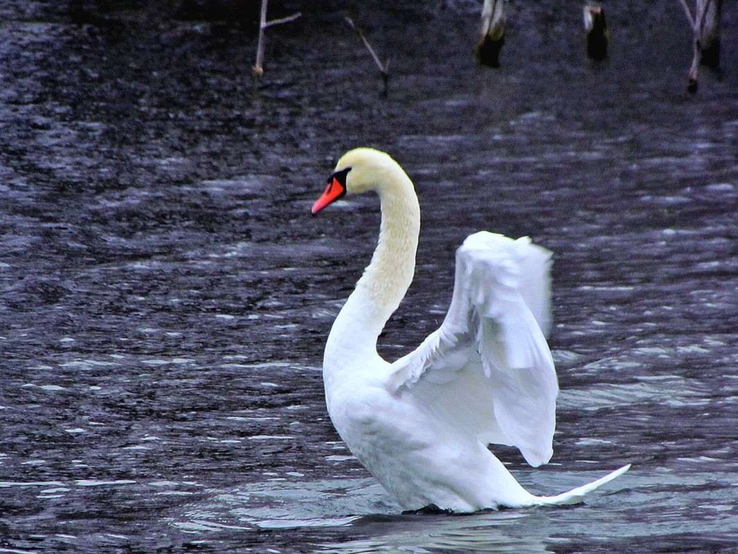 ������ ����� ���� ������ �� PhotoGeek.ru #������ ��� �������