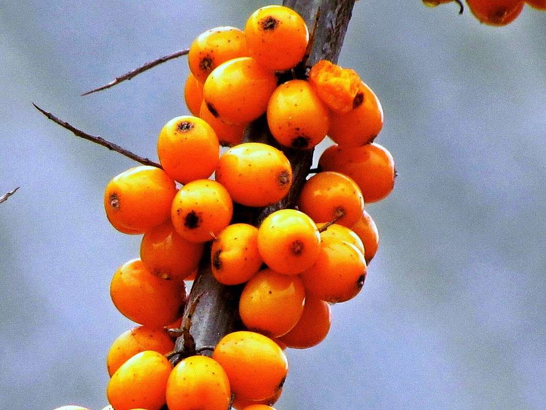 �������� ����� ���� ������ �� PhotoGeek.ru #�����