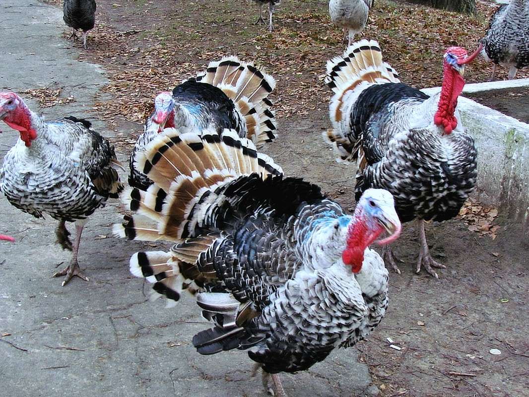 ������ ����� ���� ������ �� PhotoGeek.ru #�������� ����������